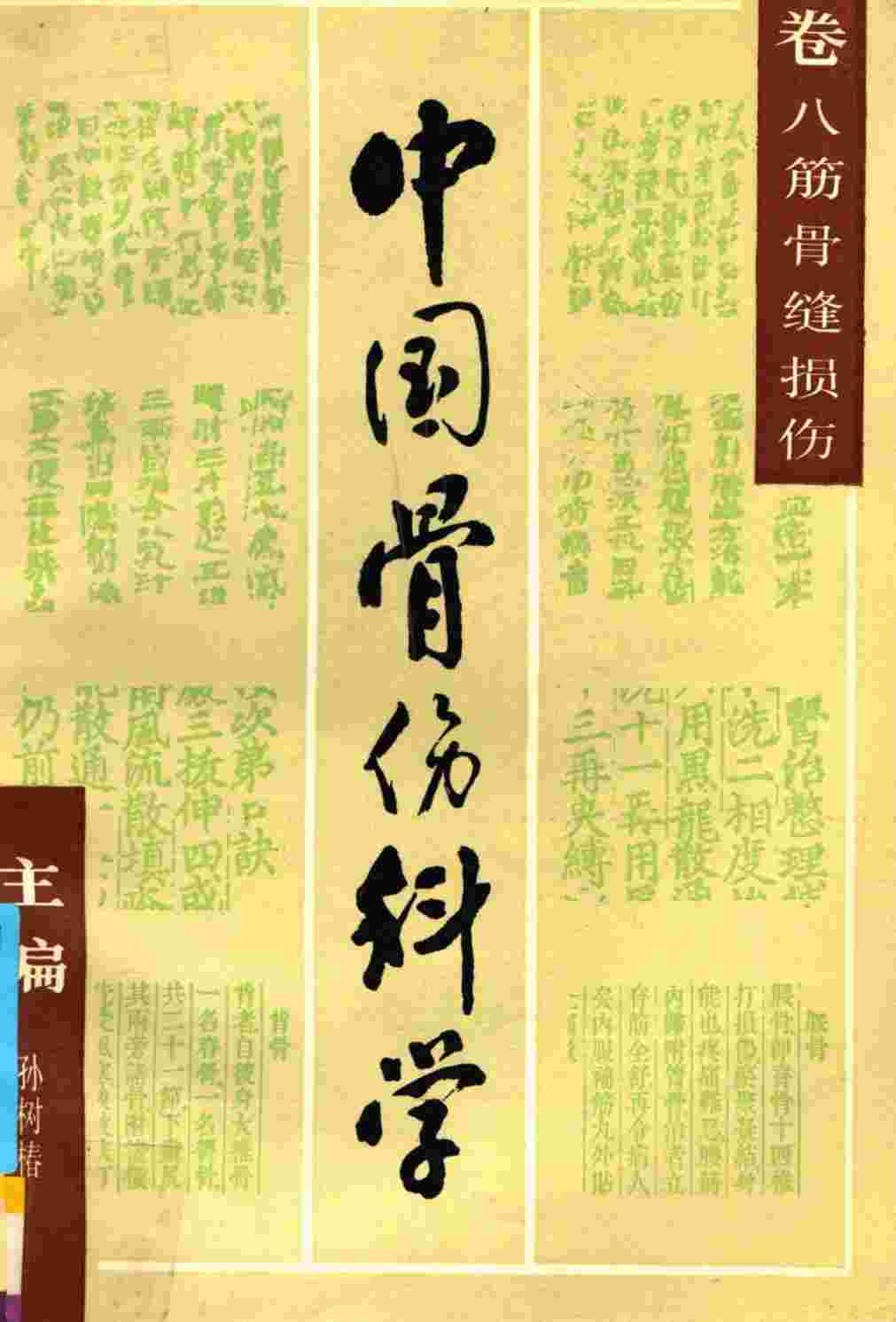 中国骨伤科学  卷8  筋骨缝损伤